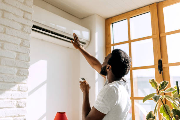 Best Ductless Mini-Split Systems in Cadillac, MI